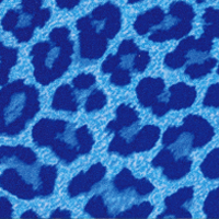 Blue_leopard