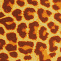 Gold_leopard