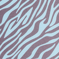 Mintzebra