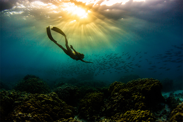 2019Spring/Summer | BREAKER OUT WETSUITS ブレーカーアウト ウエットスーツ